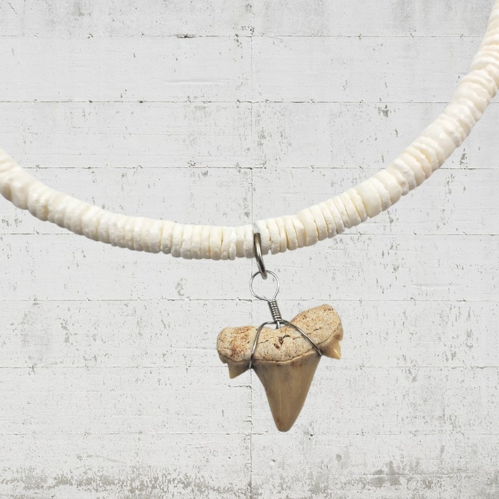 Surf Style Fossil Ware Shark Tooth Necklace White Puka Shell Bead Beach Choker - Picture 2 of 4